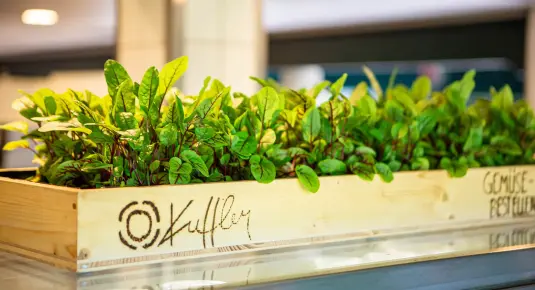 Ökologie und Nachhaltigkeit